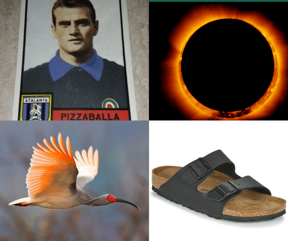 Le Birkenstock Arizona nere tornano finalmente disponibili da Pli-Pla